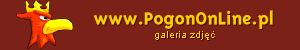 Galeria zdj�� na PogonOnLine.pl